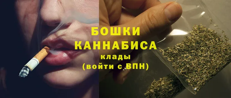 купить наркотики цена  Ардатов  Бошки марихуана OG Kush 